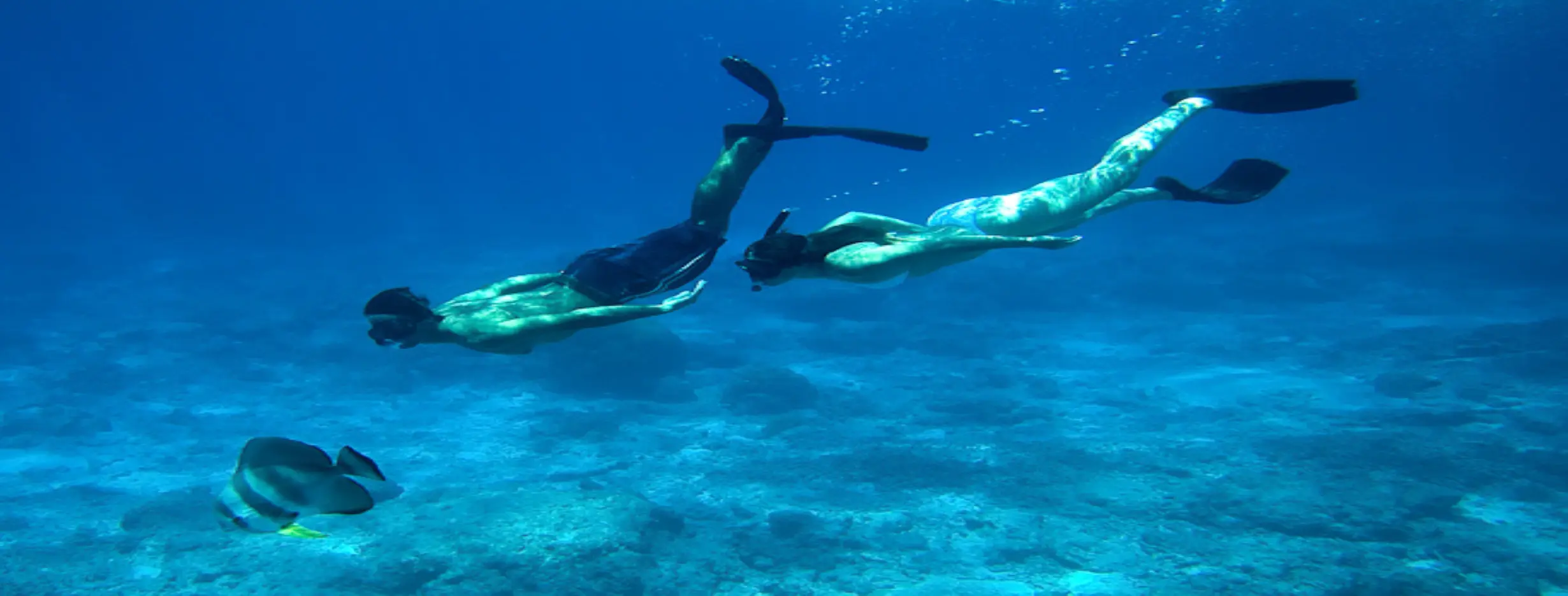 Image for Snorkeling Adventure
